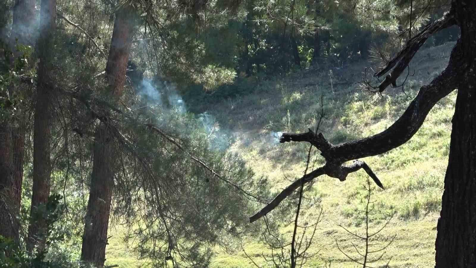 Bursada İki Ayrı Noktada Çıkan Yangın Söndürüldü