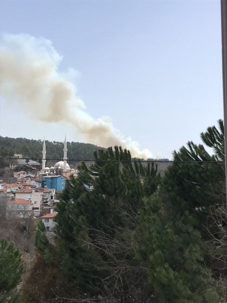 Bursada İkinci Orman Yangını