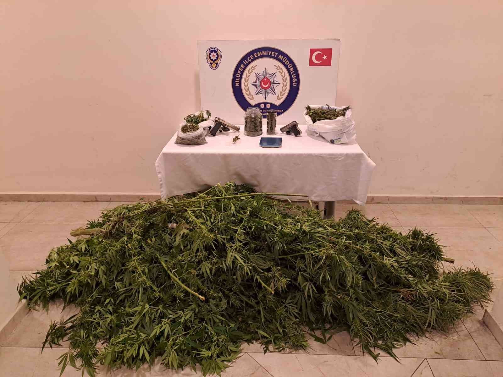 Bursa'da Kenevir Tarlasına Dönen Eve Baskın
