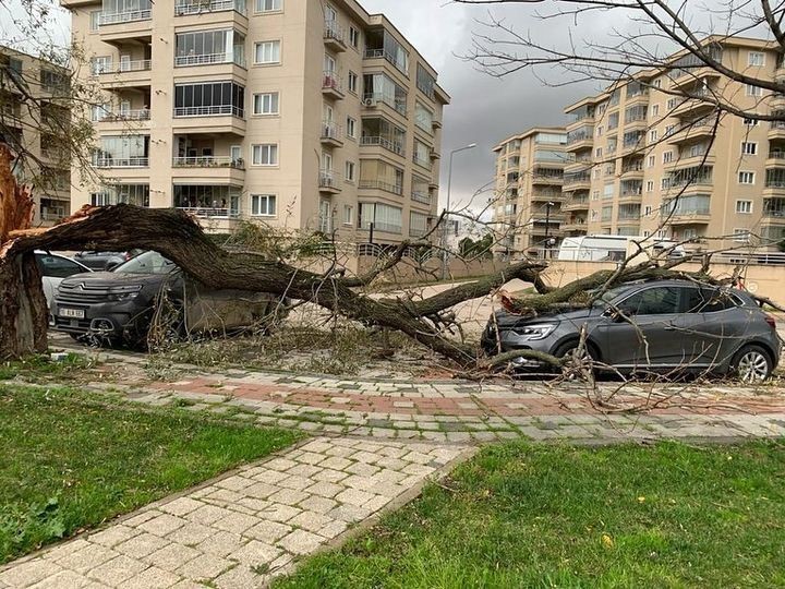 Bursada Lodos Hayatı Felç Etti: Ağaçları Devirdi, Çöp Konteynerlerini Sürükledi