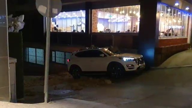 Bursada Lodosun Etkisiyle Ağaçlar Araçların Üzerine Devrildi
