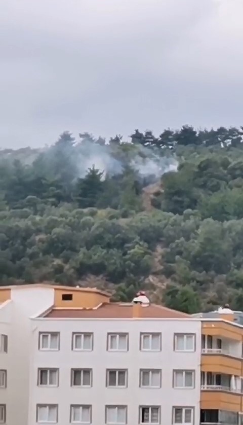 Bursada Makilik Alanda Çıkan Yangın Söndürüldü