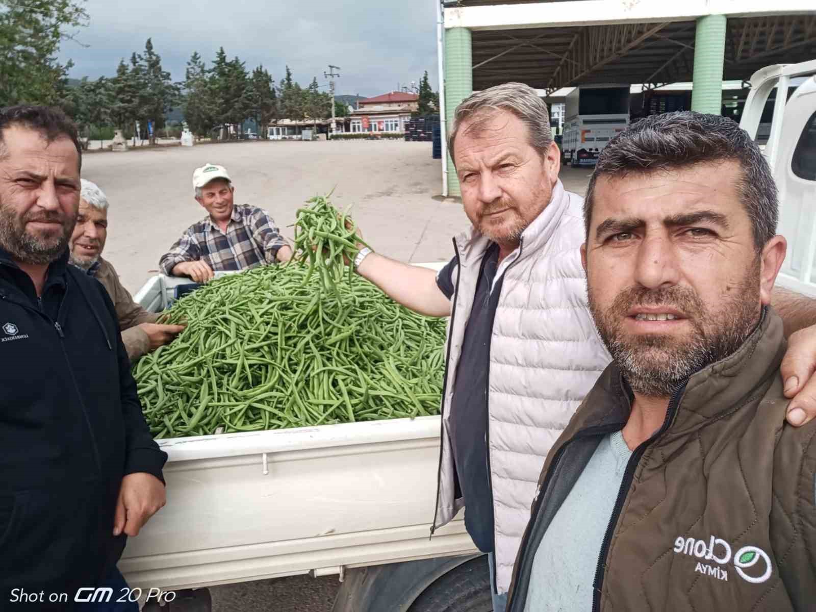 Bursada Nazende Fasulye Çıktı