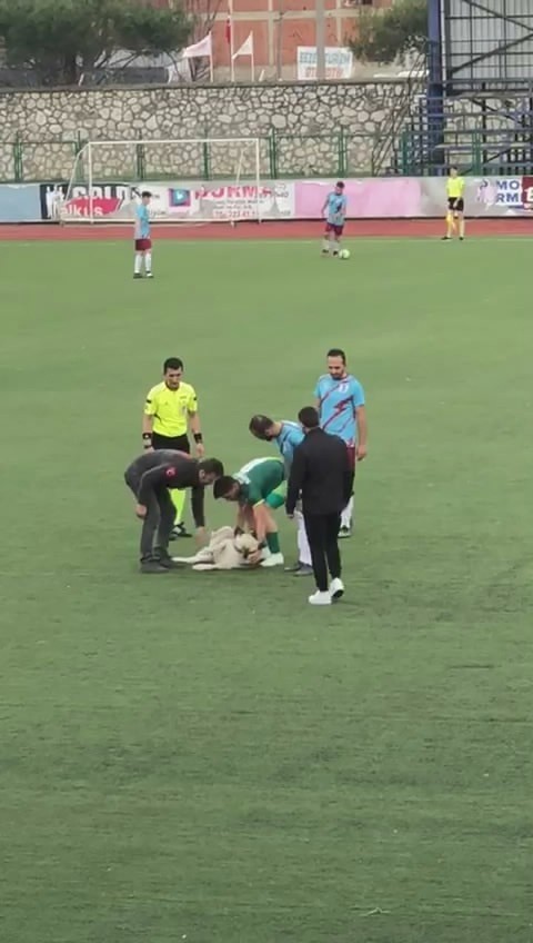 Bursada Nefes Kesen Mücadeleye ‘Köpek Molası