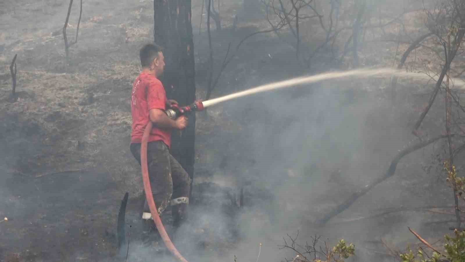 Bursada Orman Yangını Arıları Telef Etti, Ekipler Alevlere Böyle Müdahale Etti