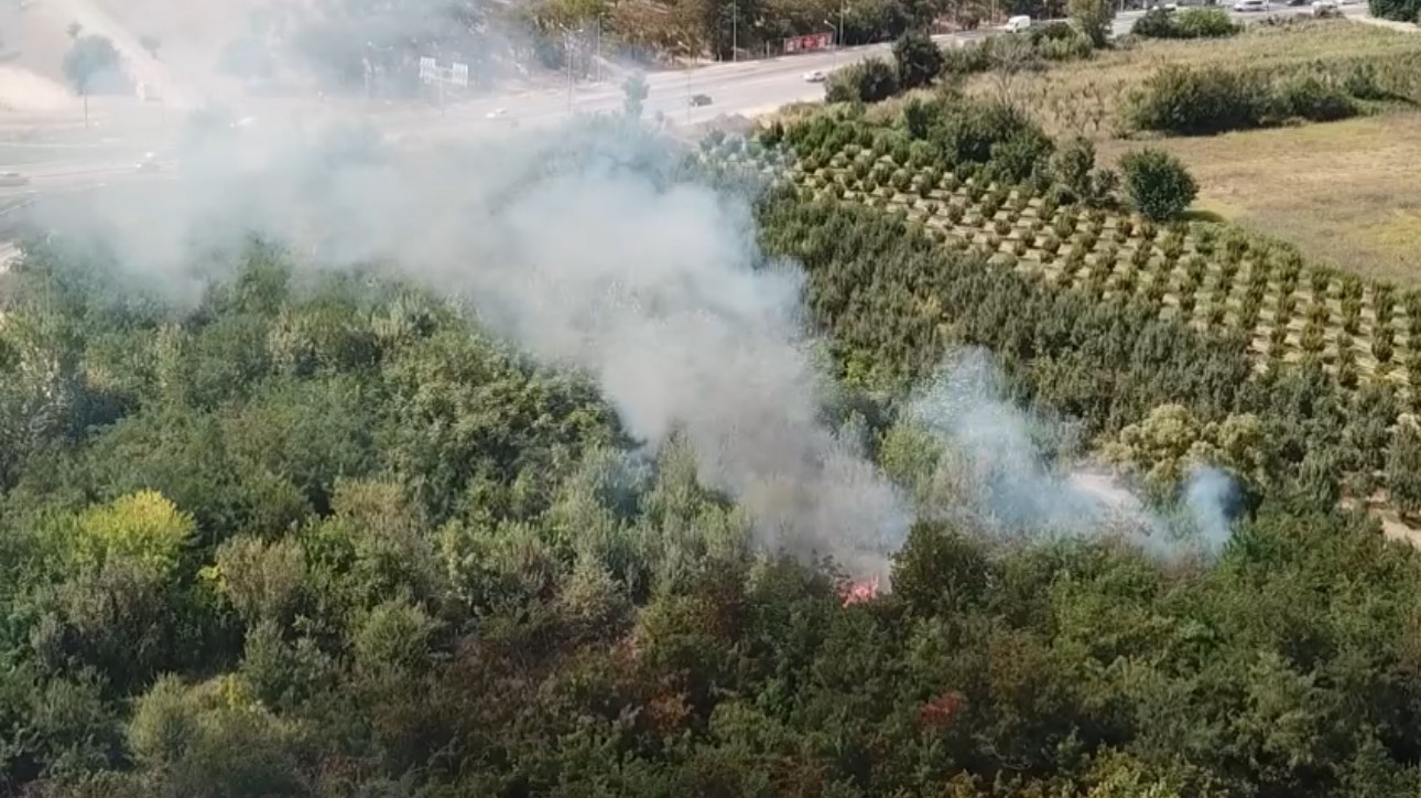 Bursada Otluk Alan Alev Alev Yandı