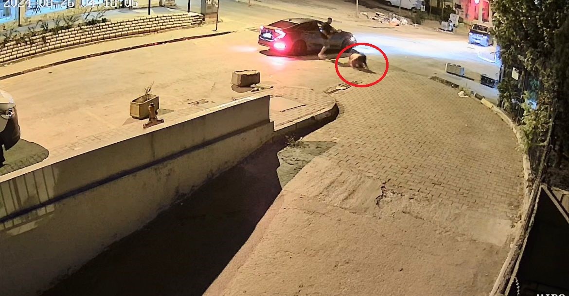 Bursada Sevgilisini Dakikalarca Böyle Darp Etti, Çok Geçmeden Yakalandı