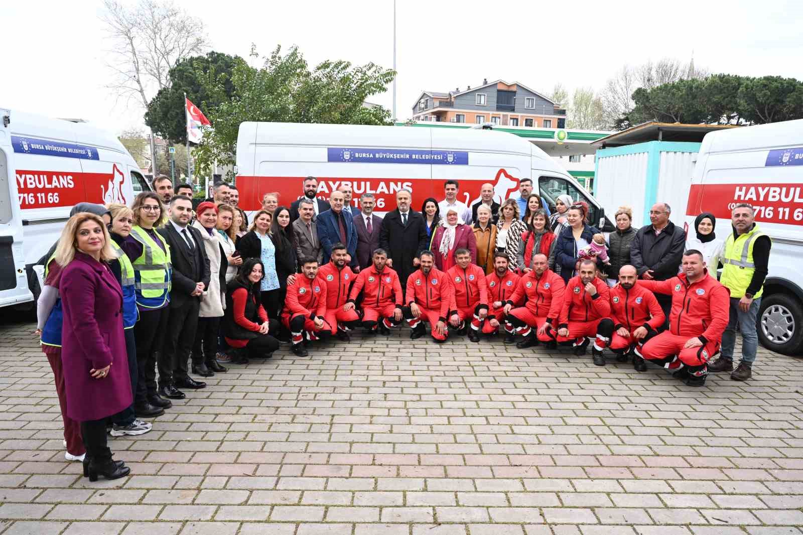 Bursada Sokak Hayvanlarına ‘Haybulans
