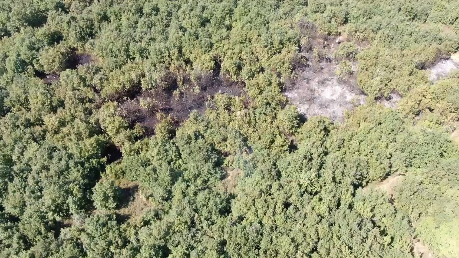Bursa'da Yerleşim Alanına Yakın Bulunan Ormanlık Alandaki Yangın Kısa Sürede Söndürüldü