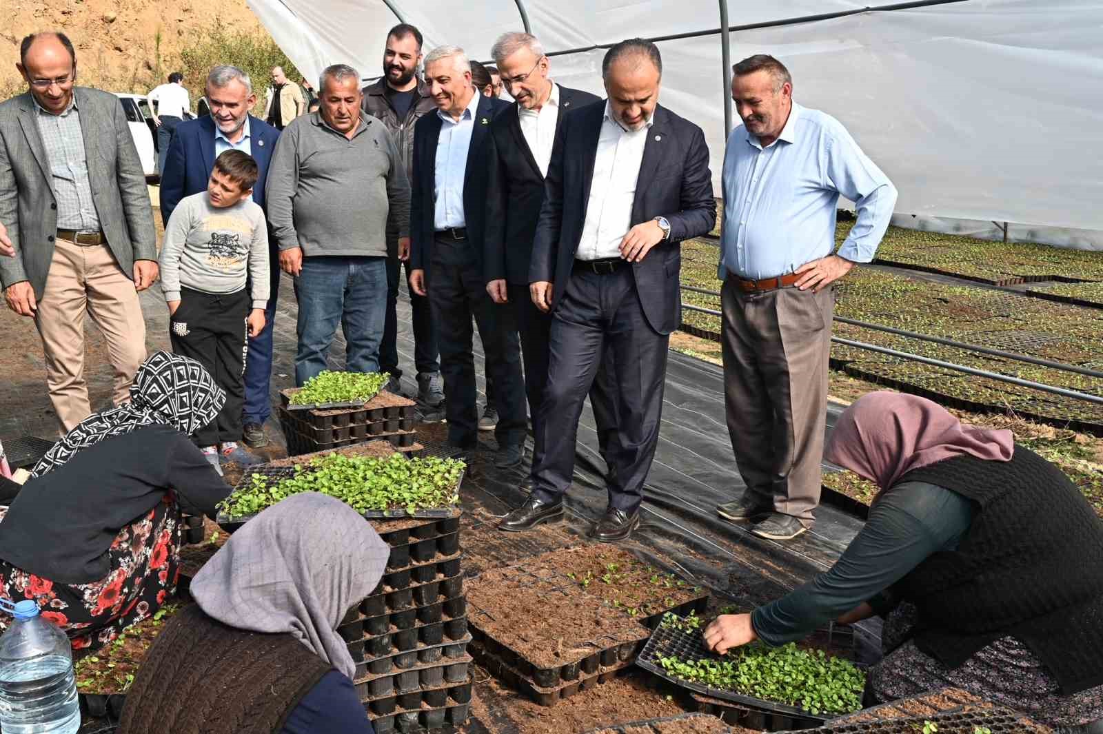 Bursanın Çiçekleri, Dağ Bölgesinde Açıyor