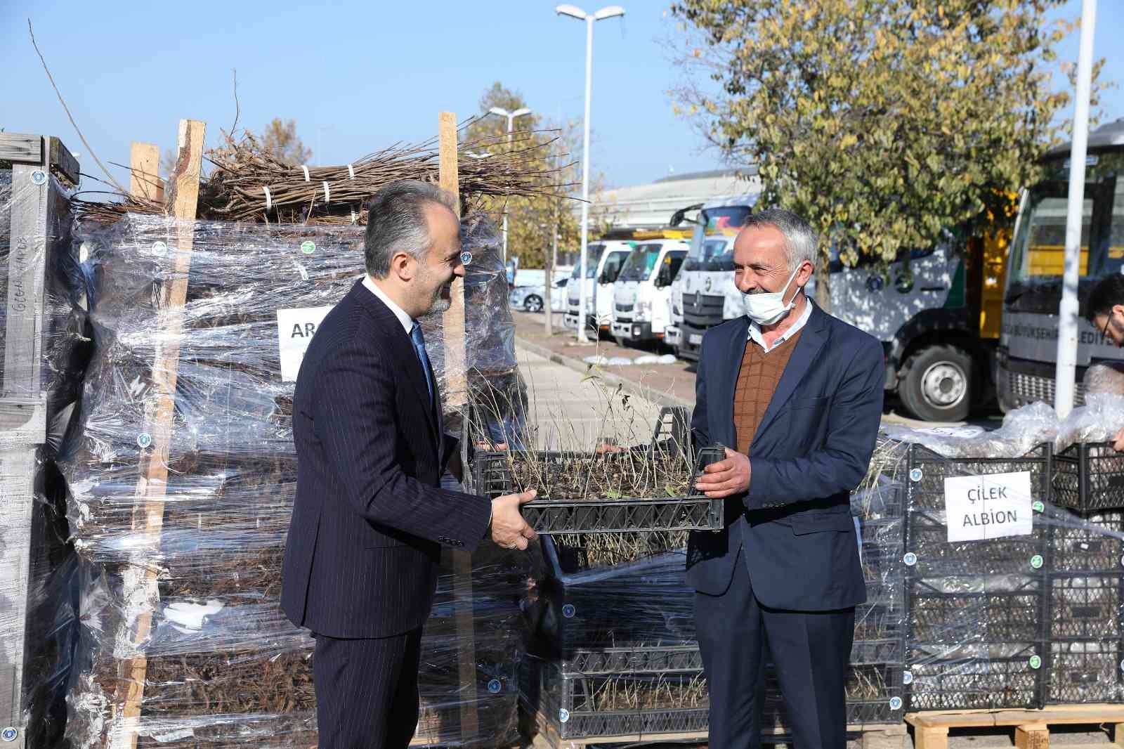 Bursanın Toprağı Büyükşehirle Bereketleniyor