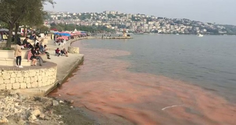 Büyükçekmece’de denizde alg patlaması yaşandı, denizin rengi kızıllaştı