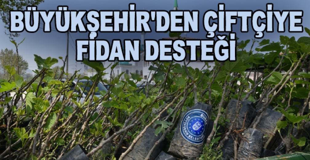 Büyükşehir'den Çiftçiye Fidan Desteği