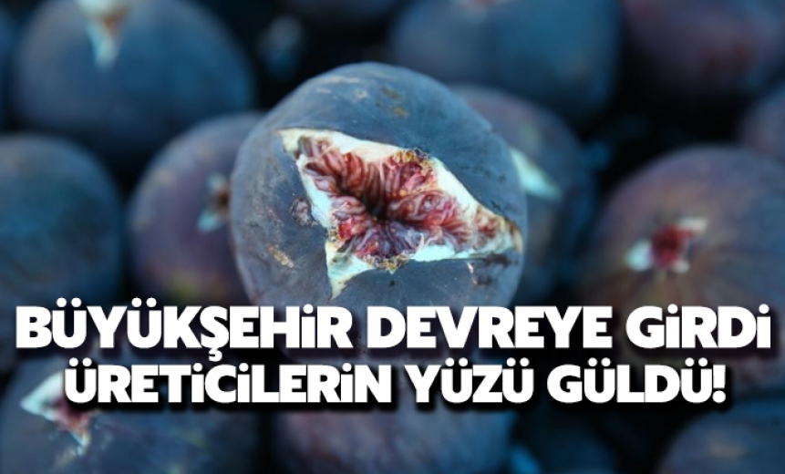 Büyükşehir Devreye Girdi, Üreticilerin Yüzü Güldü