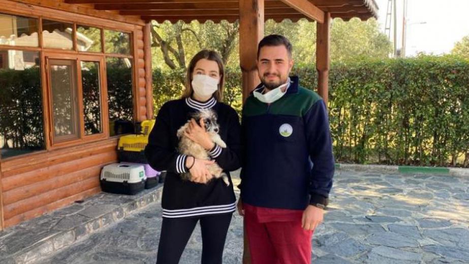 Can Dost Sıcak Yuvaya Kavuşturuldu