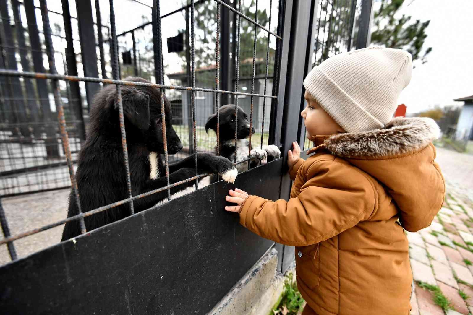 Can Dostlara Hem Şifa, Hem Sıcak Yuva