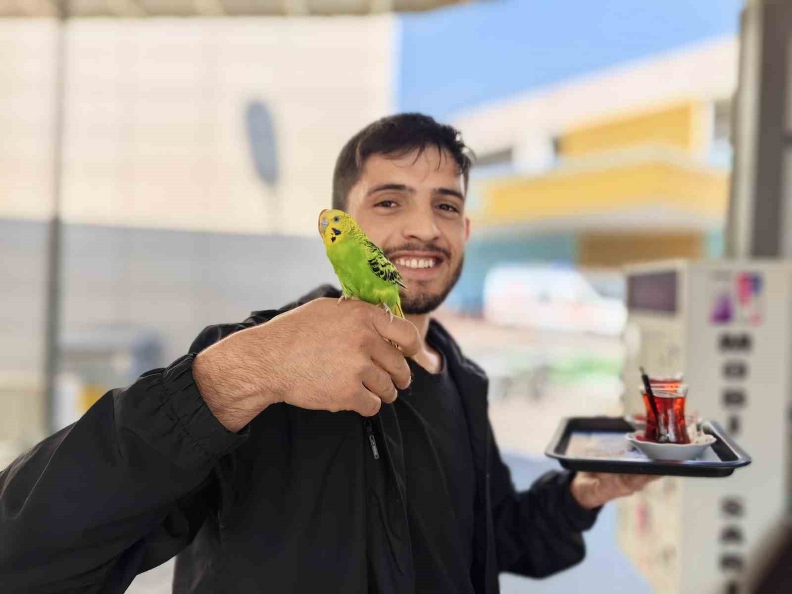 Çay Servisi İbişten