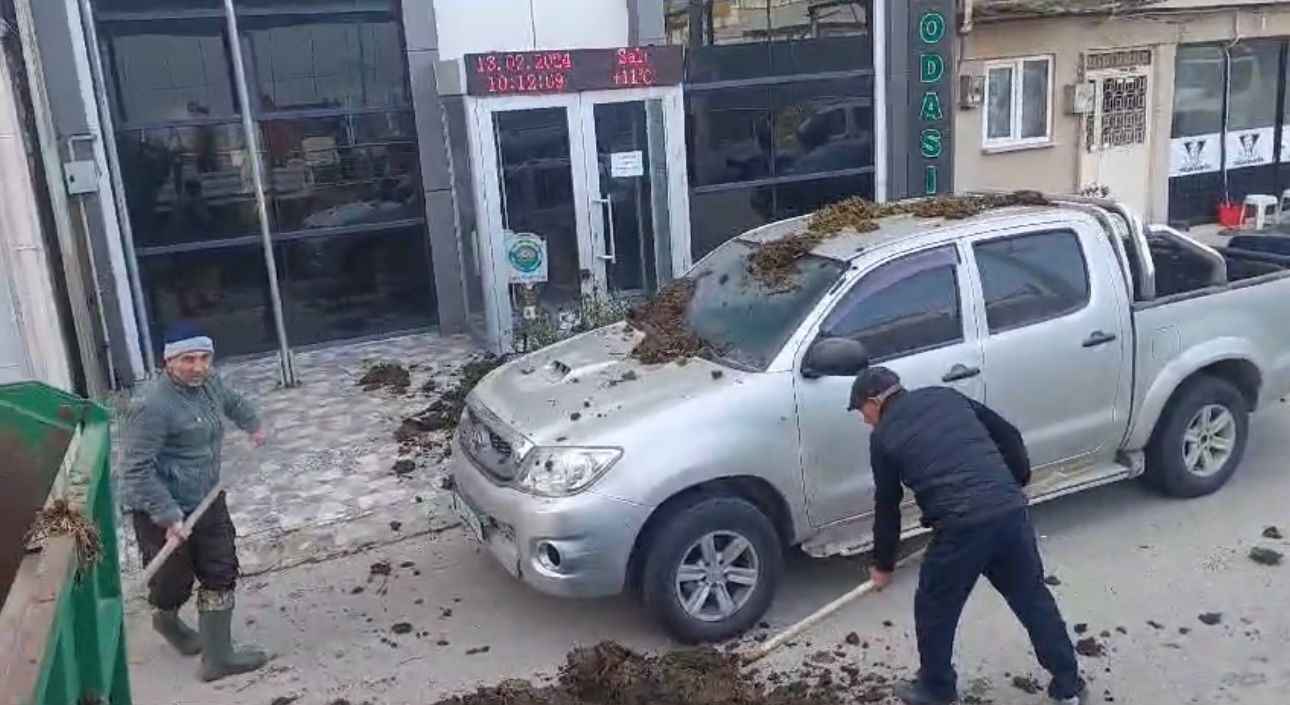Chpnin Belediye Başkan Adayına Dışkı Şoku