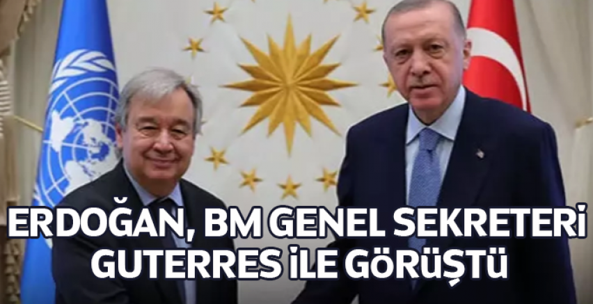 Cumhurbaşkanı Erdoğan, BM Genel Sekreteri Guterres ile görüştü