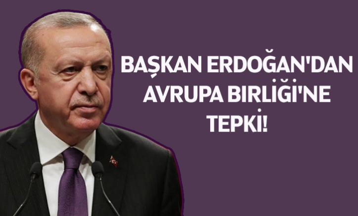 Cumhurbaşkanı Erdoğan'dan Avrupa Birliği'ne tepki!