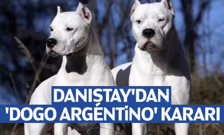Danıştay'dan 'Dogo Argentino' kararı