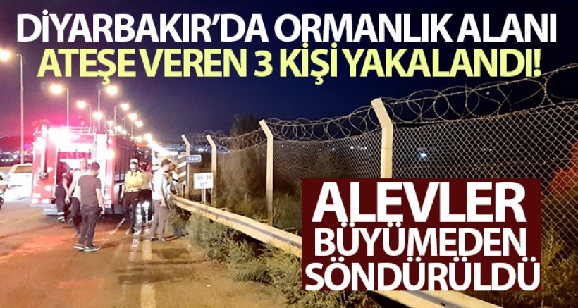 Diyarbakır'da Ormanlık Alanı Ateşe Veren 3 kişi Yakalandı
