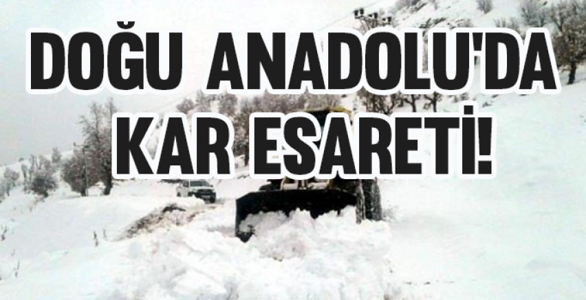 Doğu Anadolu'da kar esareti