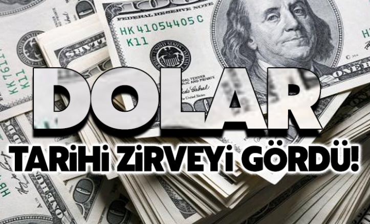 Dolar/TL, tarihi zirveyi gördü