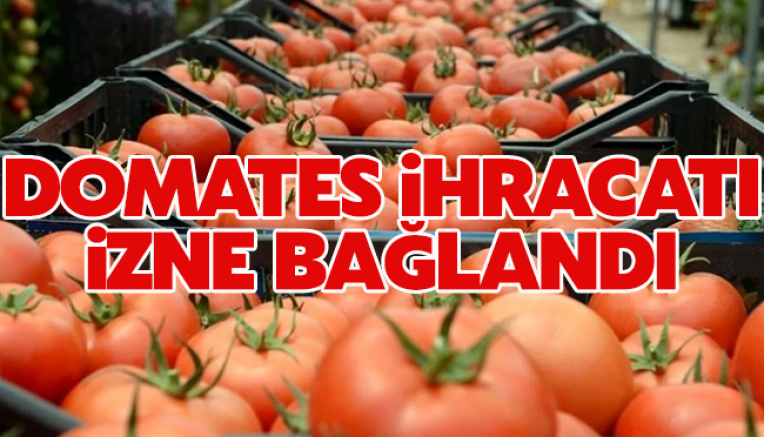 Domates ihracatı izne bağlandı