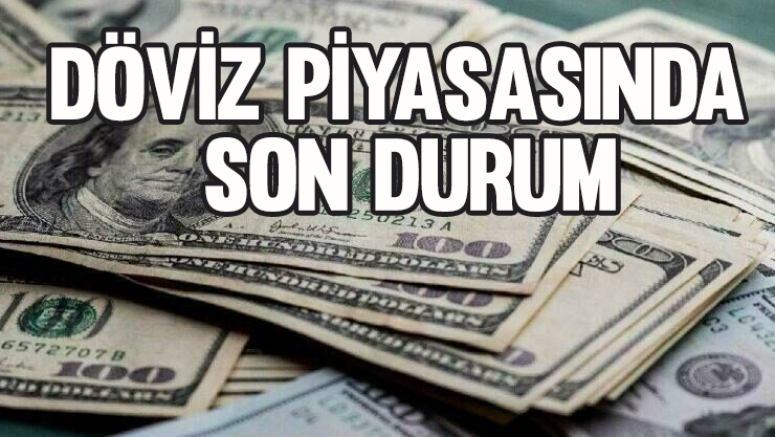 Döviz Piyasasında Son Durum