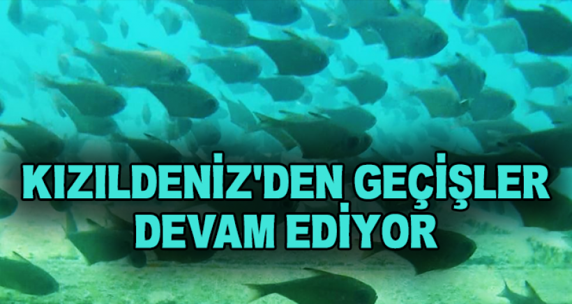 Dünyaca Ünlü Sahilde Görsel Şölen