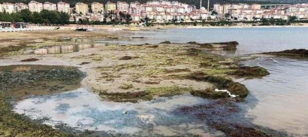Eğirdir Gölü'nde görülmemiş kirlilik!