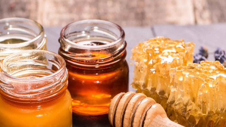 En güçlü doğal antibiyotik kaynakları…