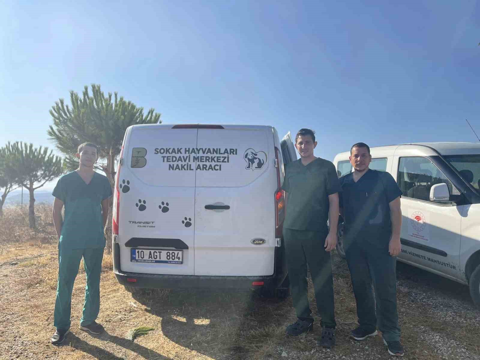 Erdekteki Yangında Yaralanan Hayvanlara Anında Müdahale