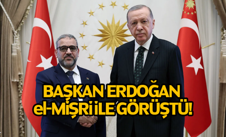 Erdoğan, Libya Yüksek Devlet Konseyi Başkanı ile Görüştü