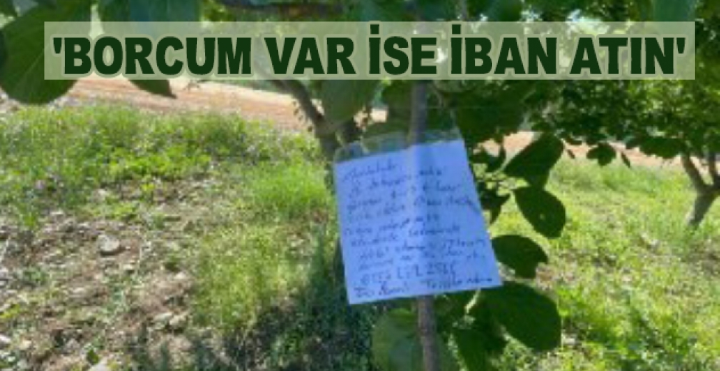 Erik Ağacının Dalına Not Bıraktı, Borcum Var İse İban Atın