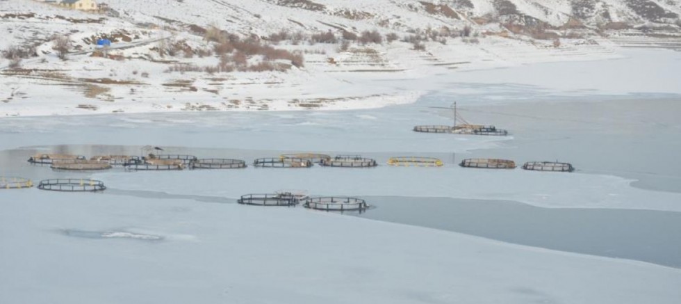 Erzincan'da Baraj Gölü Dondu