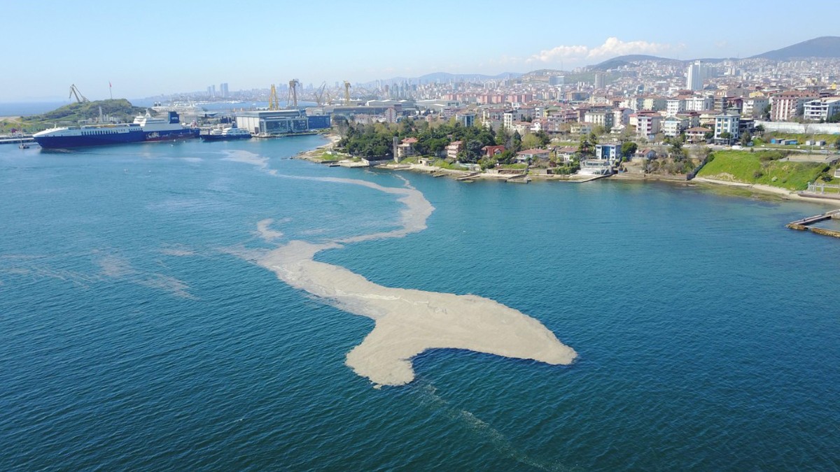 Eski Milletvekili Demirelden Bakan Kuruma Müsilaj Mesajı