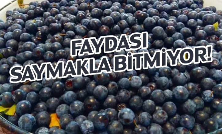 Faydası Saymakla Bitmiyor!