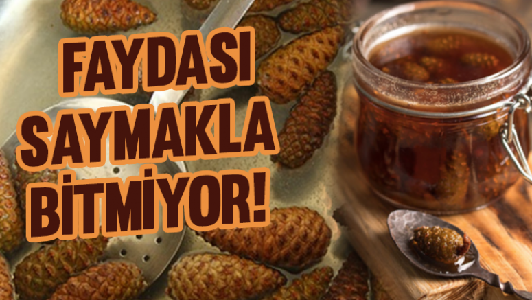 Faydası Saymakla Bitmiyor!