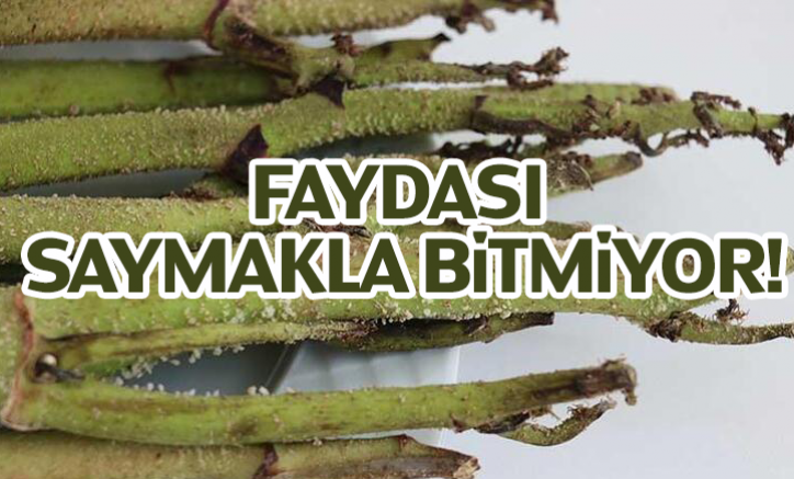 Faydası Saymakla Bitmiyor!