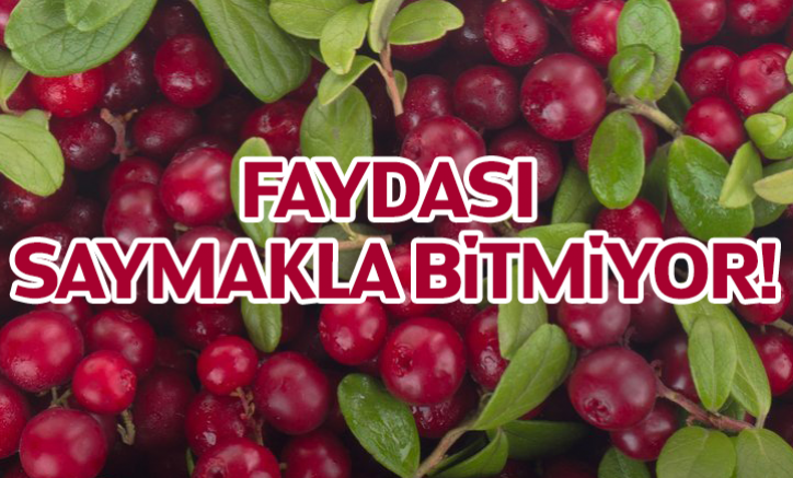 Faydası Saymakla Bitmiyor!