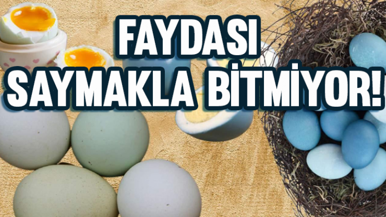 Faydası Saymakla Bitmiyor!