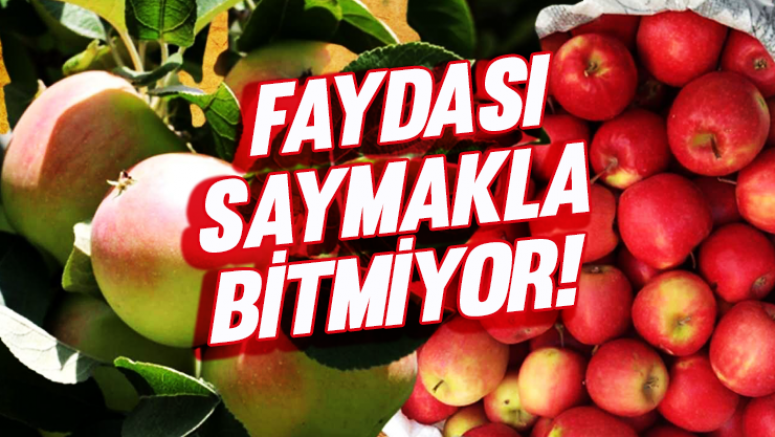 Faydası Saymakla Bitmiyor!