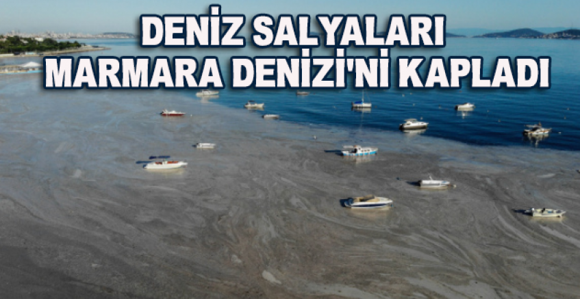 Felaketin Son Hali Havadan Görüntülendi