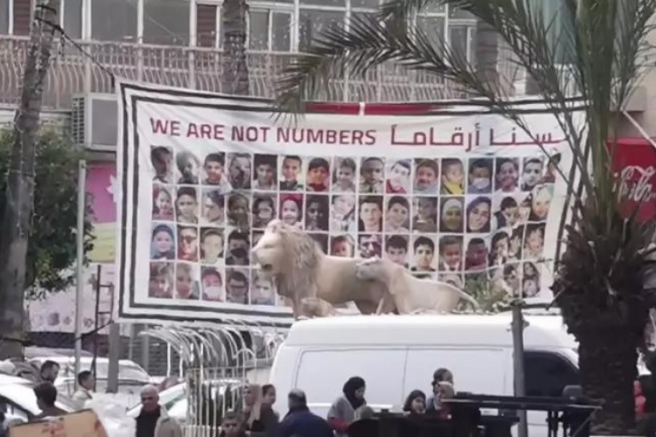 Filistinli Müslümanların ateş altında ramazan hazırlığı!