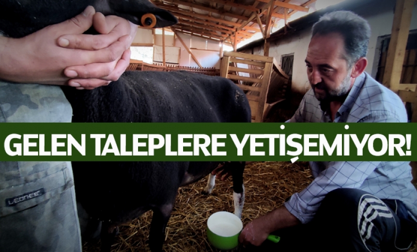 Gelen Taleplere Yetişemiyor!