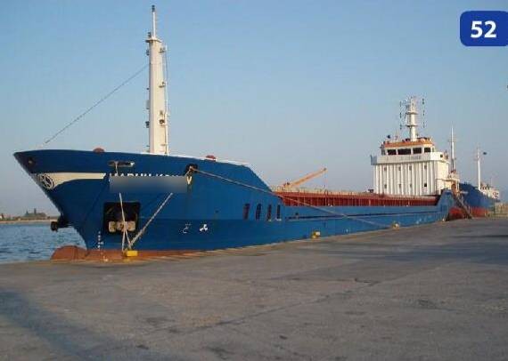 Gemlik Körfezindeki Kirliliğin Sebebi Belirlendi