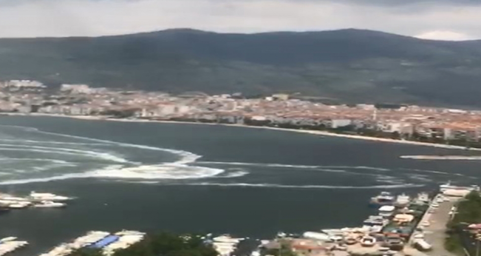 Gemlik Körfezindeki Müsilaj İstilası Vatandaş Kamerasında