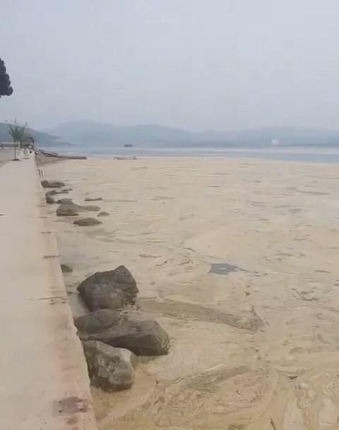 Gemlik Narlı Sahilleri Beyaza Büründü